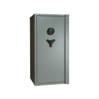 Сейф Wertheim AG25